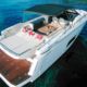 Day charter Absolut 40